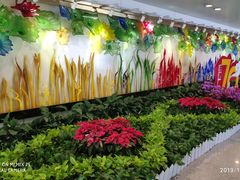 -杭州萧山国际机场
