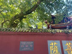 -峨眉山报国寺