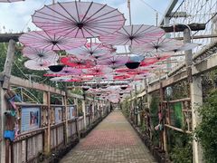 -呀路古热带植物园