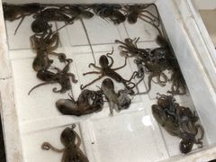 -西门岛码头海鲜馆
