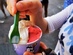 -Gelateria Dondoli