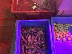 -宏记汕头白粥店(江怡店)