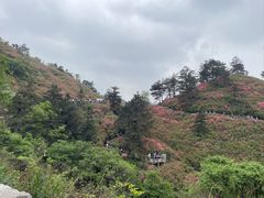 -木兰云雾山