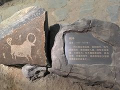 岩画-包头博物馆