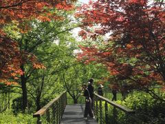 -昆山城市生态森林公园