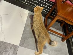 -王老六铁锅炖鱼(翠微店)