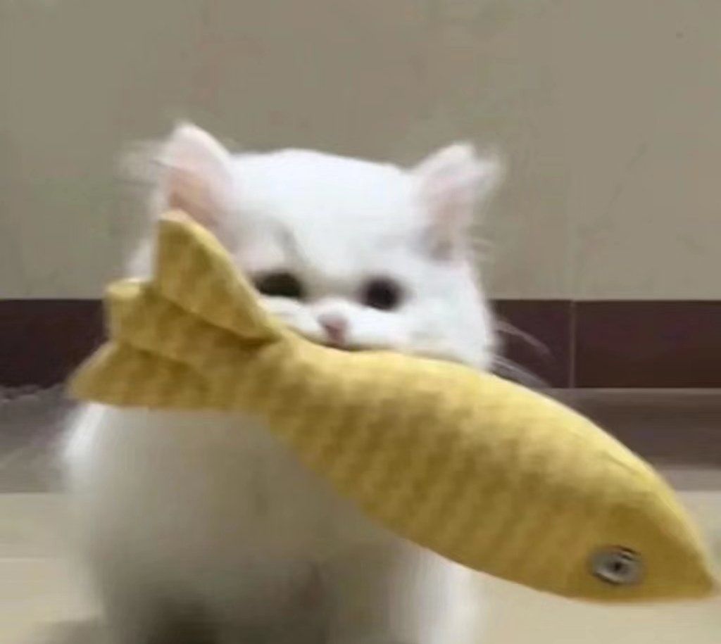 叼着小鱼干的小猫,奶凶奶凶的,这也太可爱了吧,哈哈哈,喜欢自取哦
