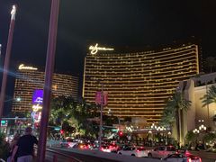 -拉斯维加斯永利酒店