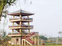 -杭州湾海上花田景区