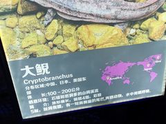-重庆欢乐海底世界