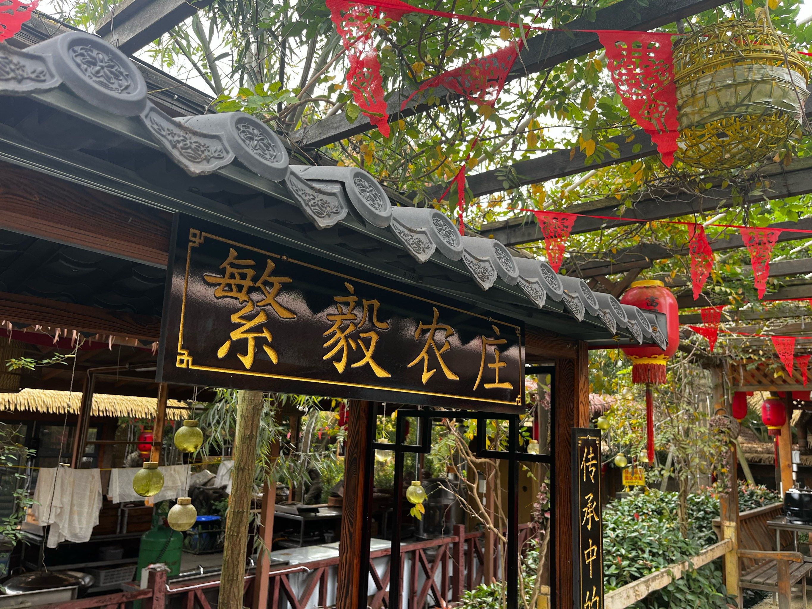 农庄捞鱼,热气腾腾的鱼火锅