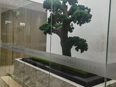 -柏乐口腔医院·舒适化无痛种植牙中心(东盟商务区院)