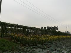 -润记农家菜