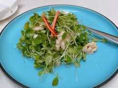 香椿苗拌核桃仁-潮皇食府(北京店)