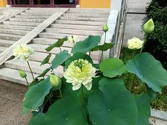 -阳澄湖半岛旅游度假区