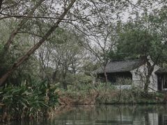 -西溪国家湿地公园