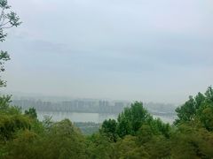 -八卦田遗址公园