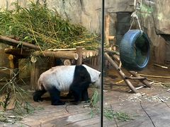 -深圳野生动物园