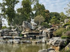 -东莞植物园