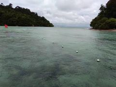 -东姑阿都拉曼海洋公园
