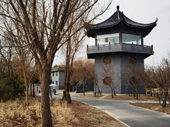-盐城丹顶鹤湿地生态旅游区