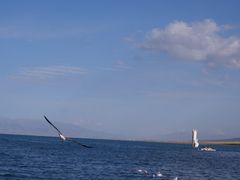 -青海湖国家重点风景名胜区