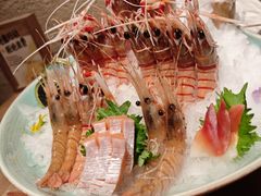 新西兰鳌虾-Minase水濑·日料放题(外滩店)