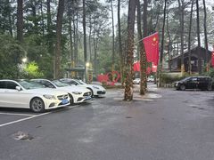 -小小饭店·休闲农庄·安吉松树林里的农家菜