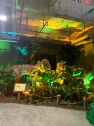 -恐龙探索乐园(磁器口店)