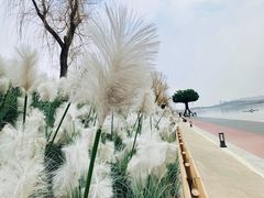 -咸阳湖景区