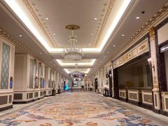 -澳门威尼斯人综合度假区