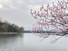 -颐和园