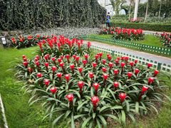 -上海鲜花港