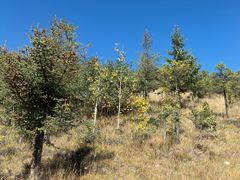 -松赞香格里拉林卡酒店