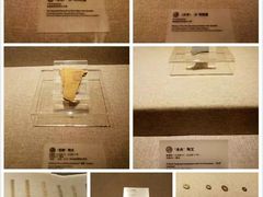-南越王博物院(王宫展区)