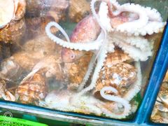 -大丰收海鲜酒楼·专业餐饮30年(连云港老字号店)