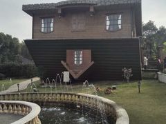 -金山农民画村-枫泾波兰倒置屋