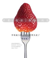 -MLP美丽派·问题肌疗愈中心