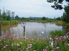 -西昌邛海湿地