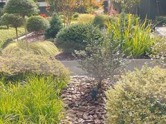 -杭州西湖柳莺里酒店·闻莺厅