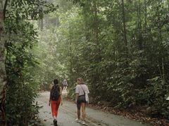 -武吉知马自然保护区