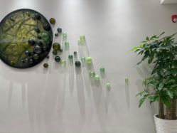-星和深湾荟医疗美容