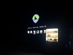 -贝壳梦幻世界