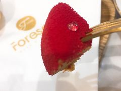 -Foresee 梵晞(北美N1店)