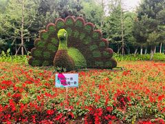 -长白岛森林公园