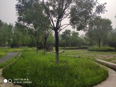 -东郊湿地公园