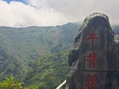 -牛背梁国家森林公园
