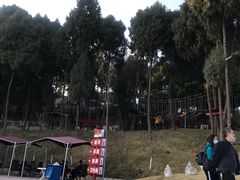 -仙海旅游度假区