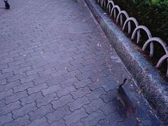 -金砂公园