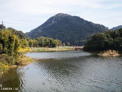 -广州市石门国家森林公园